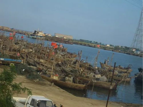 涡阳水域整治，住家船主安新居——致涡阳住家船船主的一封信